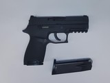 SIG SAUER P250 .40 S&W - 1 of 1