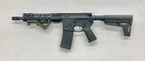 PALMETTO STATE ARMORY PA-15 5.56X45MM NATO - 1 of 3