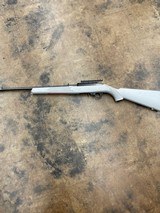 RUGER 10/22 .22 LR - 1 of 3