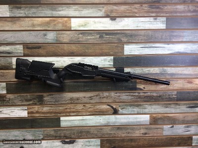 RUGER "10/22" .22 LR