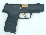 SIG SAUER P365 Spectre Comp 9MM LUGER (9X19 PARA) - 1 of 2