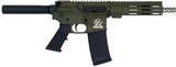 GREAT LAKES FIREARMS AR15 .223 WYLDE - 1 of 1