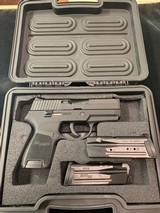 SIG SAUER P250 9MM LUGER (9X19 PARA)