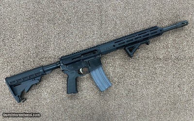 DARK STORM INDUSTRIES DS-15 .450 BUSHMASTER
