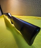 RUGER 10/22 WILD HOG .22 LR - 2 of 3