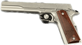 KIMBER Stainless Target 10MM - 1 of 2