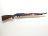 REMINGTON Nylon 66 .22 LR - 1 of 3