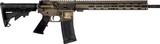 GREAT LAKES FIREARMS AR-15 .223 WYLDE - 1 of 1