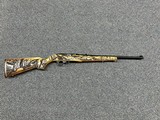 RUGER 10/22 Ducks .22 LR - 1 of 3