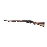 REMINGTON NYLON 76 .22 LR - 1 of 2