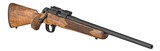 SPRINGFIELD ARMORY MODEL 2020 RIMFIRE (AAA) .22 LR - 3 of 3