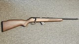 SAVAGE ARMS MK II .22 LR - 1 of 1