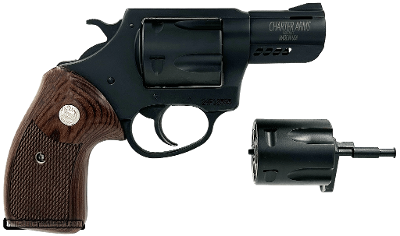 CHARTER ARMS THE DOUBLE DOG .357 MAG/9MM - Image 1 of 1