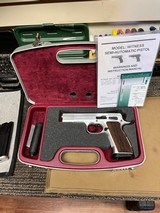 EAA Witness Stock 10MM - 1 of 3