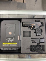 SIG SAUER P365-XL COMP ROSE 9MM LUGER (9X19 PARA) - 1 of 3