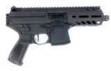 SIG SAUER MPX MULTI - 3 of 3