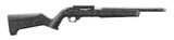 RUGER 10/22 .22 LR - 1 of 1