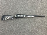 SAVAGE ARMS IMPULSE PREDATOR .22-250 REM - 1 of 2