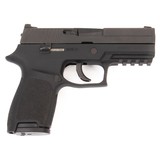 SIG SAUER P250 COMPACT MEDIUM .40 S&W - 2 of 3
