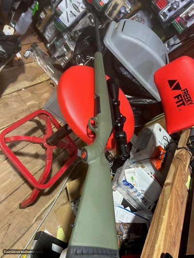 RUGER AMERICAN .223 REM