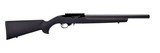 RUGER 10/22 .22 LR - 1 of 1