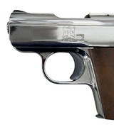 RAVEN ARMS MP-25 .25 ACP - 3 of 3