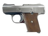RAVEN ARMS MP-25 .25 ACP - 2 of 3