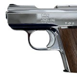 RAVEN ARMS MP-25 .25 ACP - 3 of 3