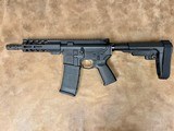 PALMETTO STATE ARMORY PA-15 .300 AAC BLACKOUT - 1 of 3