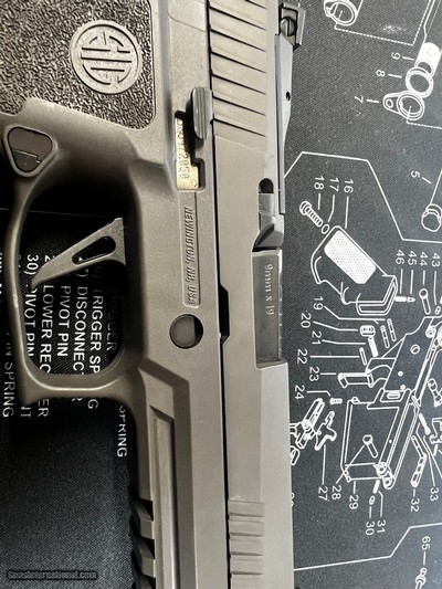 SIG SAUER P320 9MM LUGER (9x19 PARA)