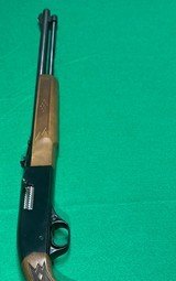 WINCHESTER 290 .22 long/.22 lr - 1 of 3