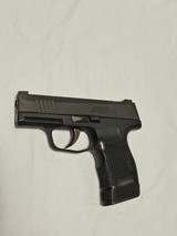 SIG SAUER P365 9MM LUGER (9x19 PARA) - 3 of 3