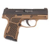 SIG SAUER P365 .380 ACP - 2 of 3