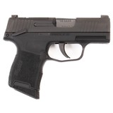 SIG SAUER P365 9MM LUGER (9x19 PARA) - 3 of 3