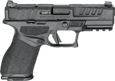 SPRINGFIELD ARMORY ECHELON GEAR UP 25 PACKAGE 9MM LUGER (9x19 PARA)