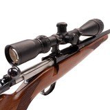 RUGER M77 HAWKEYE VARMINT .25-06 REM - 3 of 3