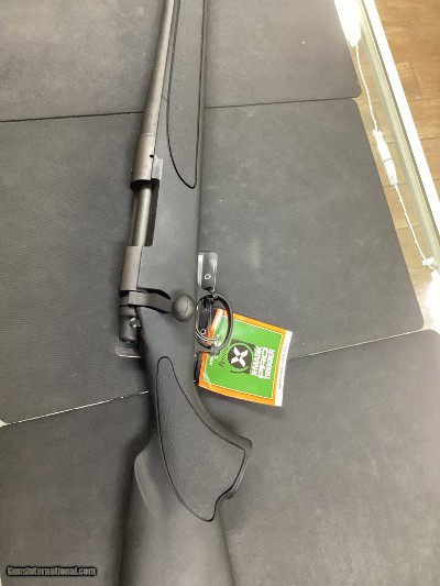 REMINGTON MODEL 700 (ACTION & BOLT) .243 WIN