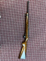 RUGER 10/22 .22 LR