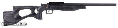 KEYSTONE SPORTING ARMS CRICKETT EX TARGET .22 LR