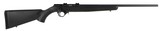 MOSSBERG 817 .17 HMR - 1 of 1
