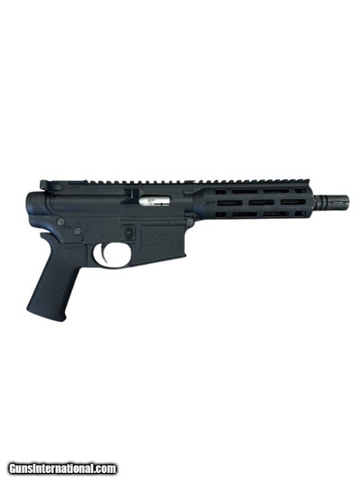 SMITH & WESSON M&P 15-22P .22 LR