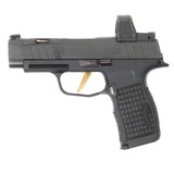 SIG SAUER P365 9MM LUGER (9x19 PARA)