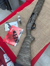 WINCHESTER SX4 12 GA - 1 of 3