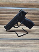 SIG SAUER P365 XL 9MM LUGER (9x19 PARA) - 3 of 3