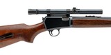 WINCHESTER winchester 63 .22 LR - 2 of 3