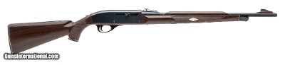 REMINGTON nylon 66 .22 LR