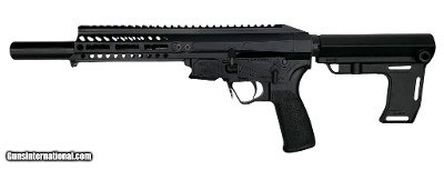 PATRIOT ORDNANCE FACTORY (POF) P-SG .22 LR