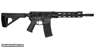 RISE ARMAMENT WATCHMAN .223 WYLDE