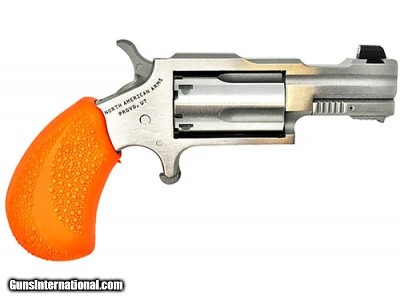 NAA 22LR BUG OUT BOX .22 LR