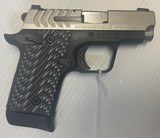 SPRINGFIELD ARMORY 911 .380 ACP - 2 of 3
